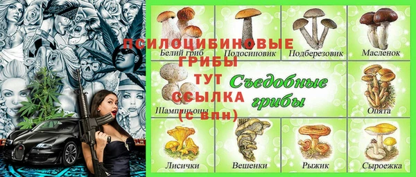 дживик Балабаново