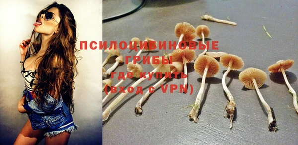 круглые Арсеньев