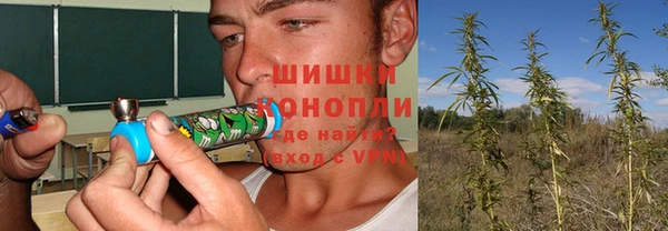 ешки Алзамай