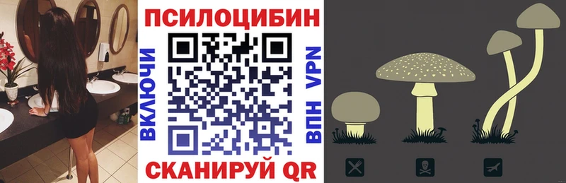 mega tor  Сокол  Псилоцибиновые грибы GOLDEN TEACHER 